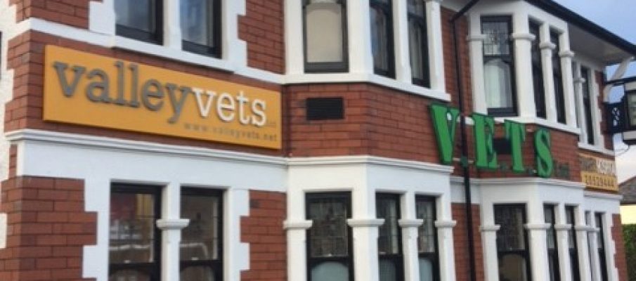 Valley Vets Merthyr Road Cardiff